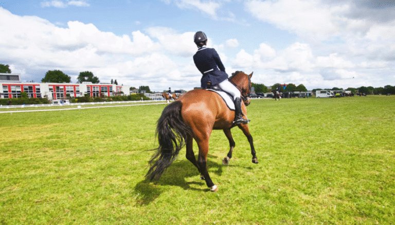 How Horse Racing Impacts the Economy of Local Communities