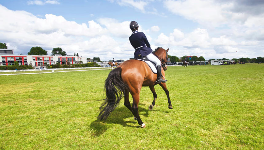 How Horse Racing Impacts the Economy of Local Communities