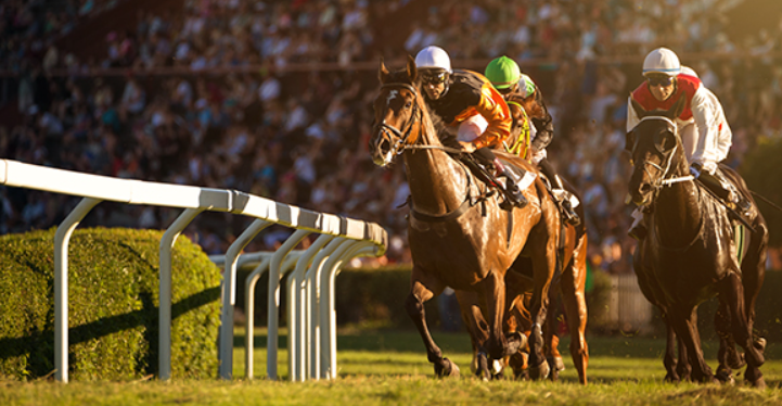 How Horse Racing Is Governed: The Regulatory Bodies in the Industry
