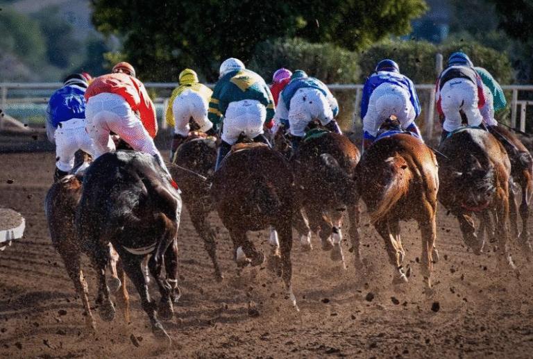 How Racehorses Are Transported Across the World for Major Events