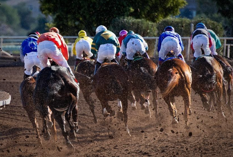 How Racehorses Are Transported Across the World for Major Events